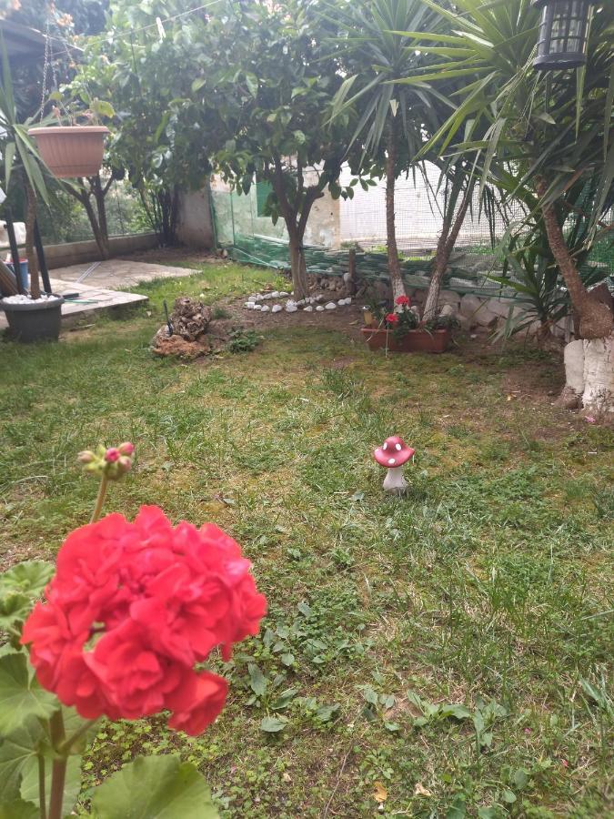 فندق Sofis Garden كافالا الغرفة الصورة